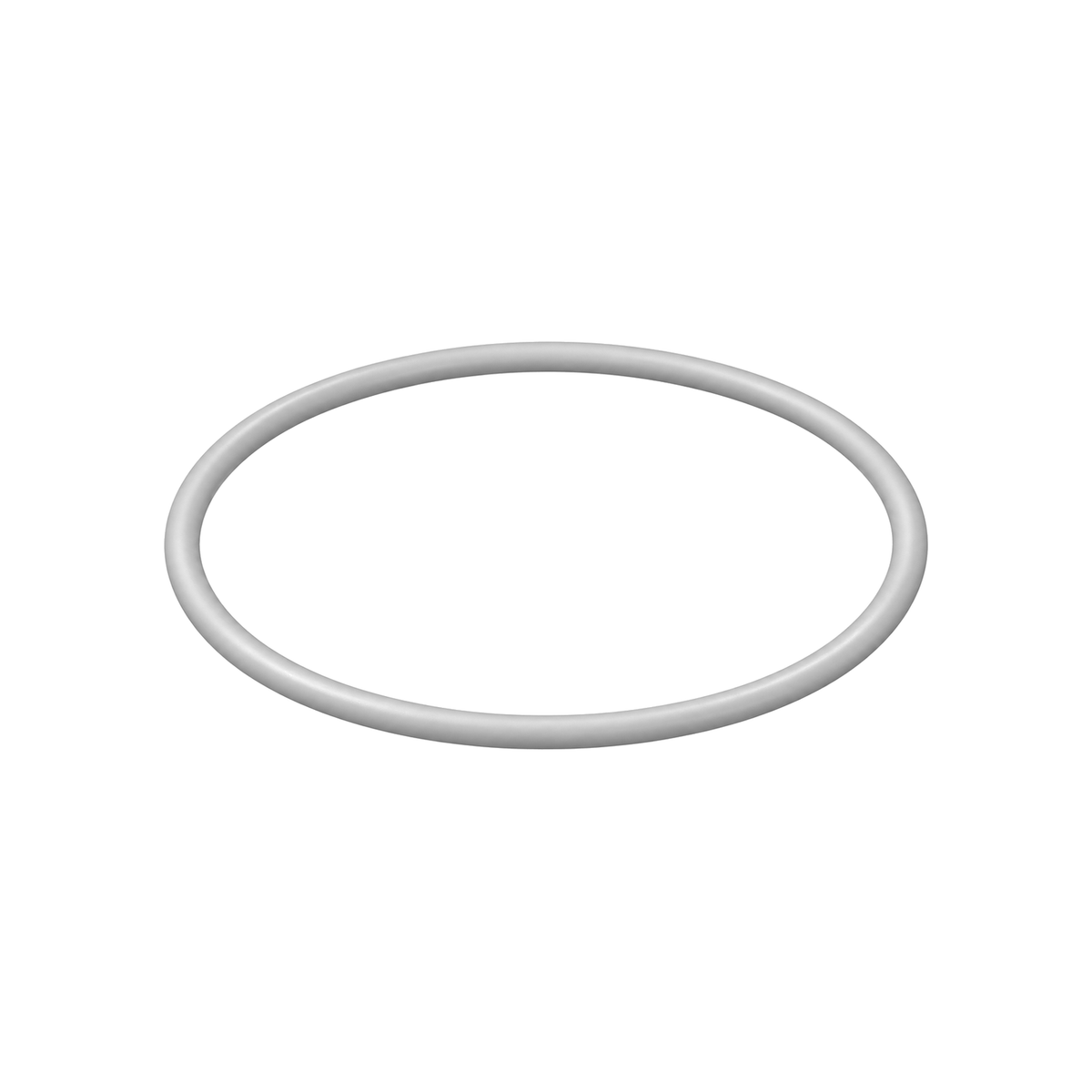 PTFE o-ring 107098 (illustration)