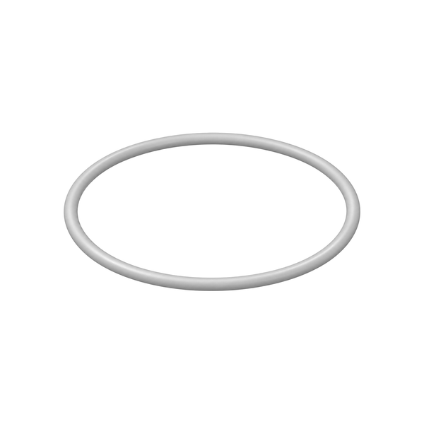 PTFE o-ring 107098 (illustration)