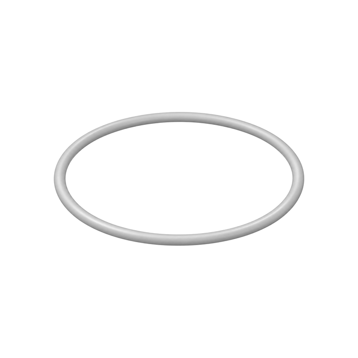 PTFE o-ring 107098 (illustration)