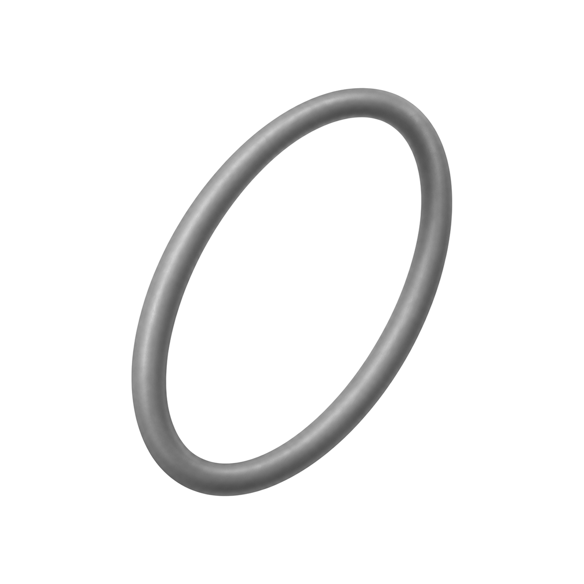 O-ring packing 107505 (illustration)