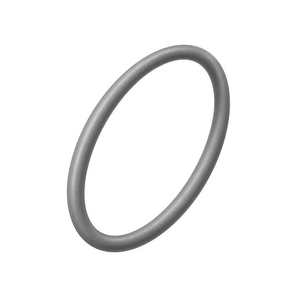 O-ring packing 107505 (illustration)