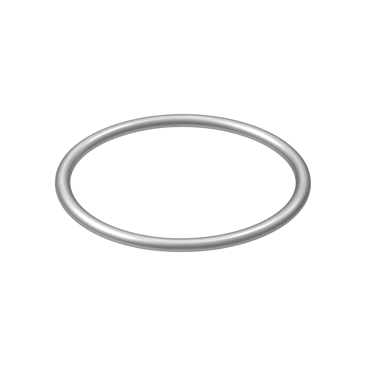 Pump o-ring 117117 (illustration)