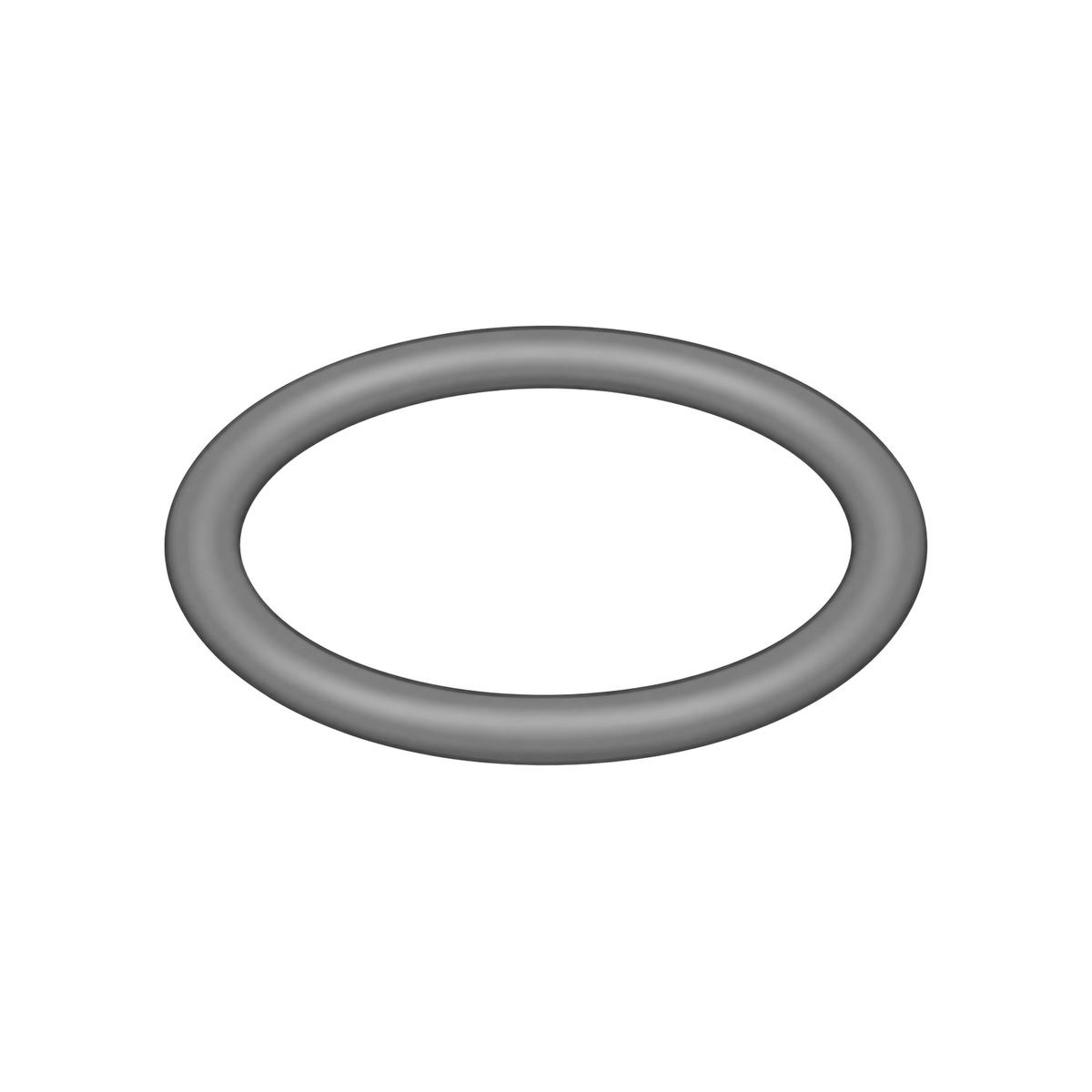 O-ring (* in pump repair kit) 158776 (illustration)