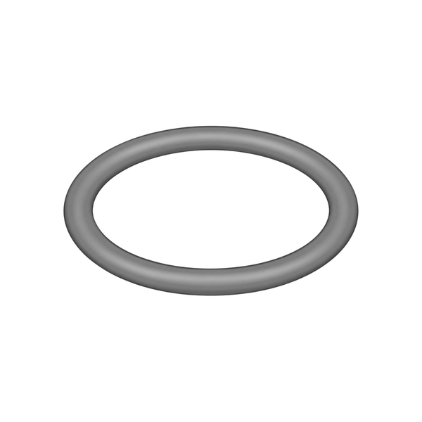 O-ring (* in pump repair kit) 158776 (illustration)