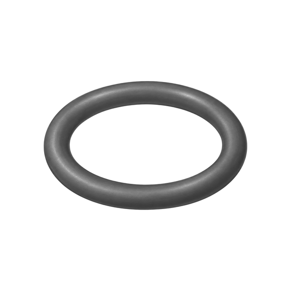 O-ring 160516 (illustration)