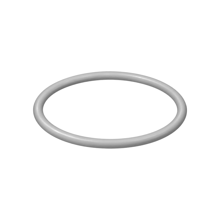Pump o-ring 16N901 (illustration)