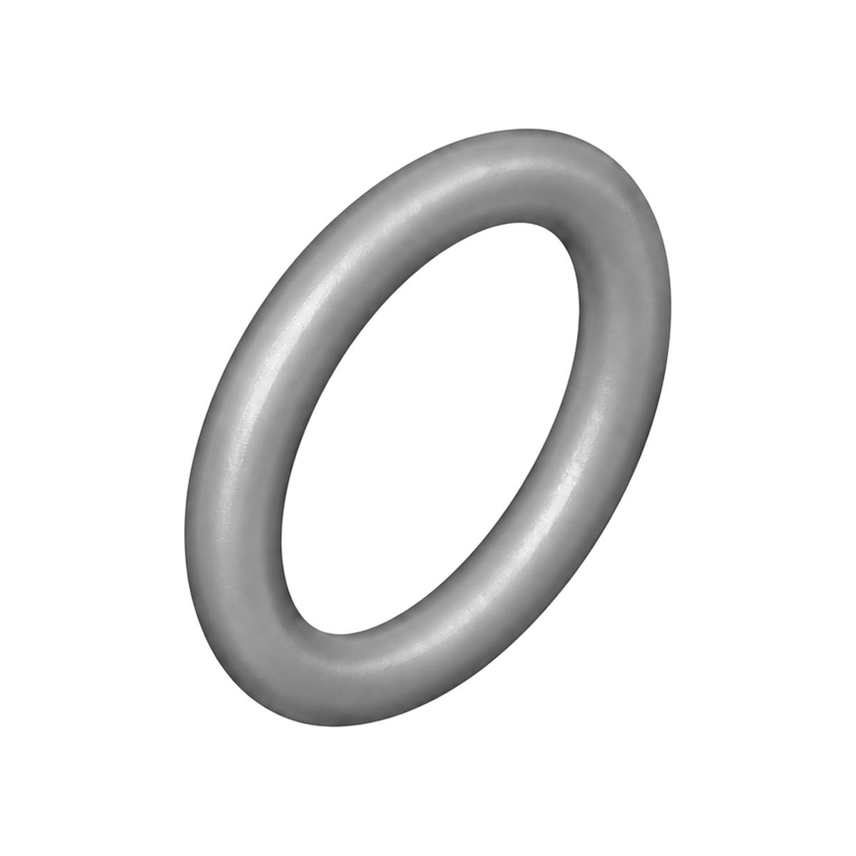 QuickShot o-ring 17T582 (illustration)