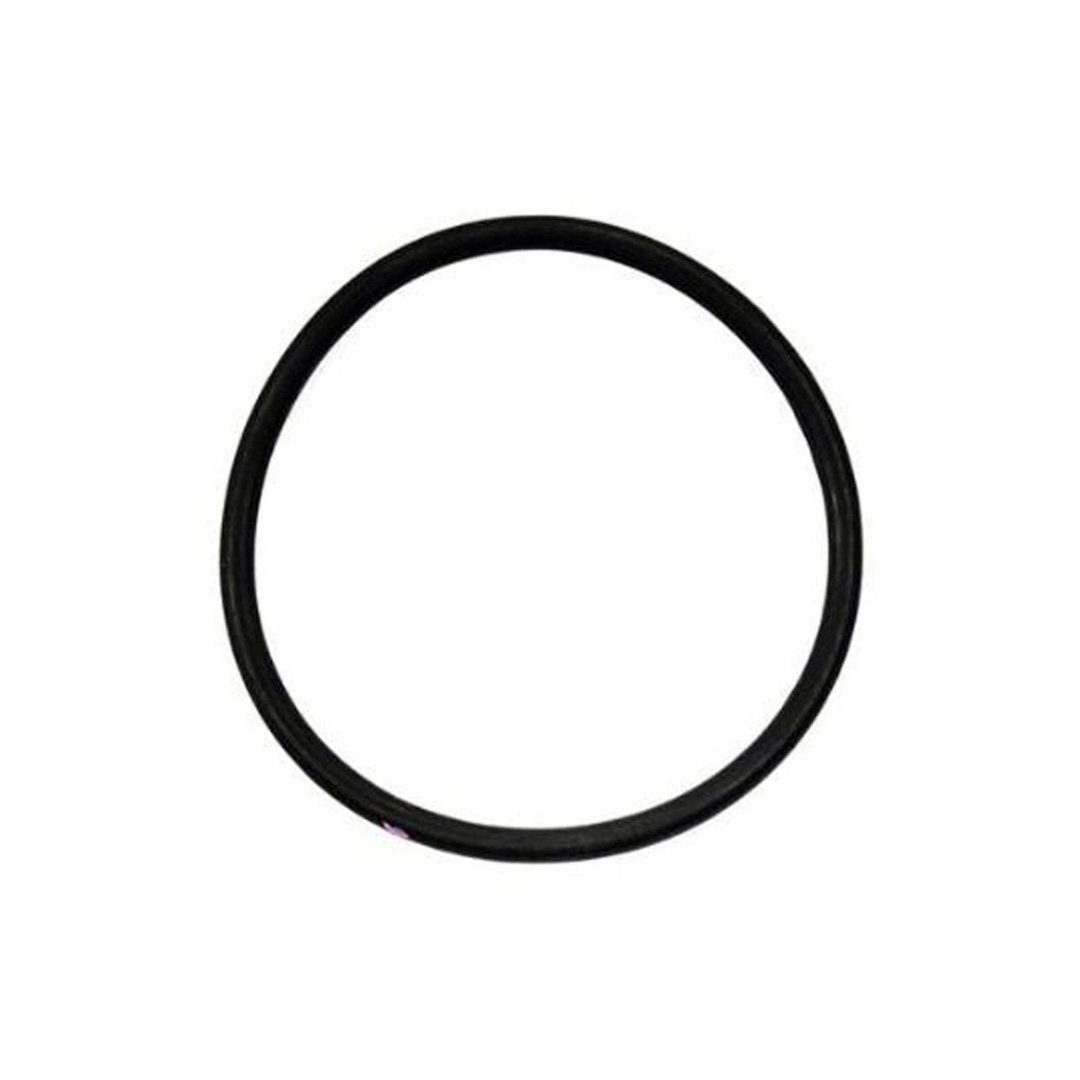Packing o-ring 17V093