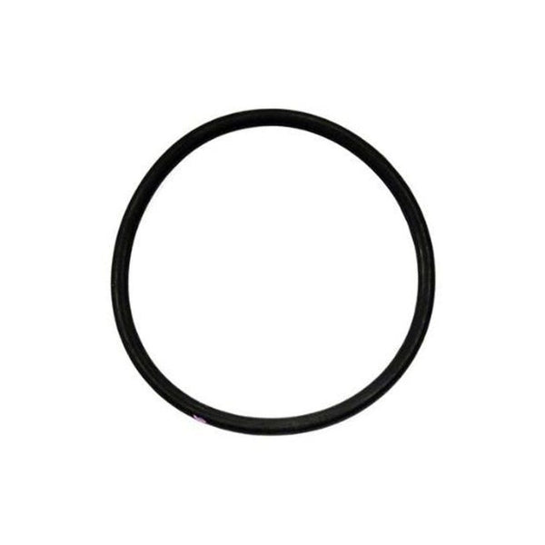 Packing o-ring 17V093