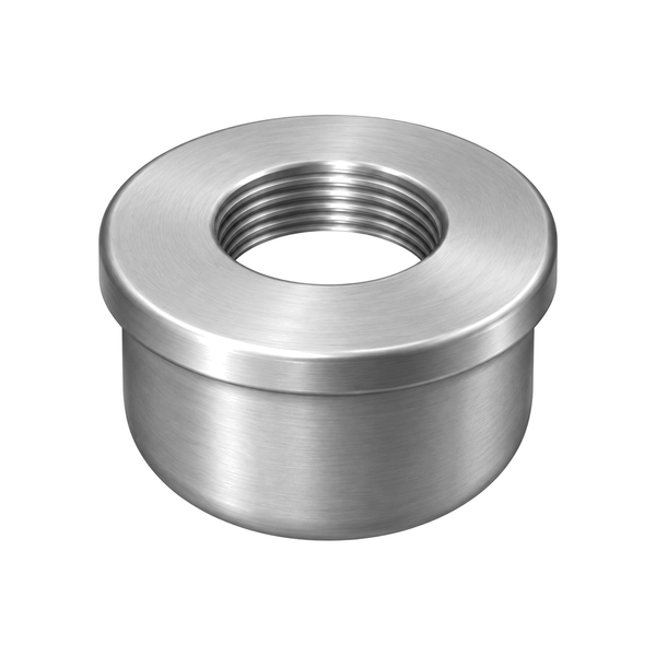 Inlet strainer, SST cap, 1 in 189920 (illustration)