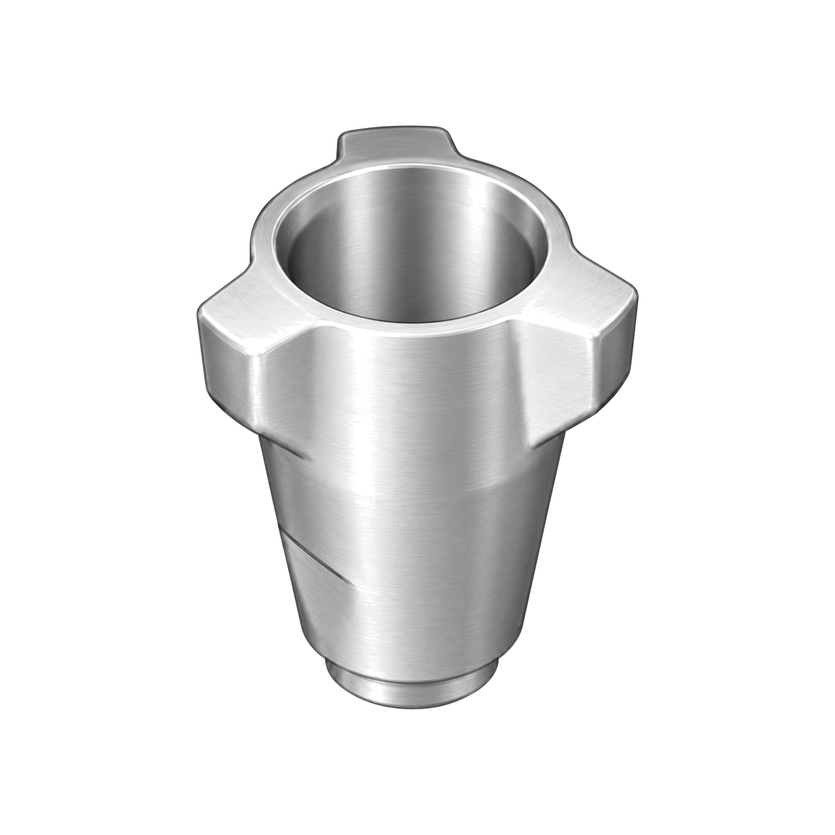 Intake (foot) valve 196753 (illustration)