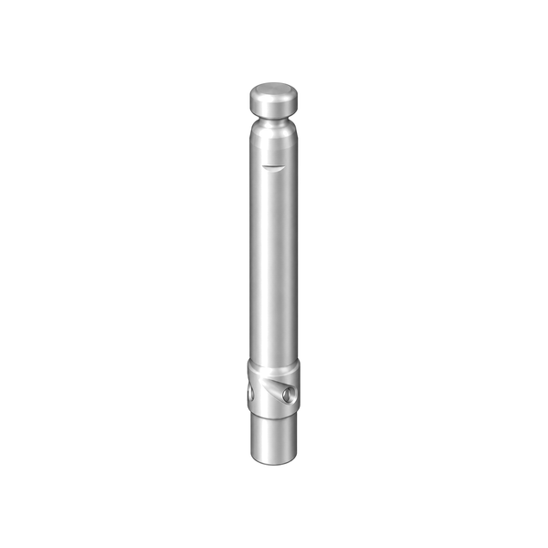 Piston rod 2001538 (illustration)