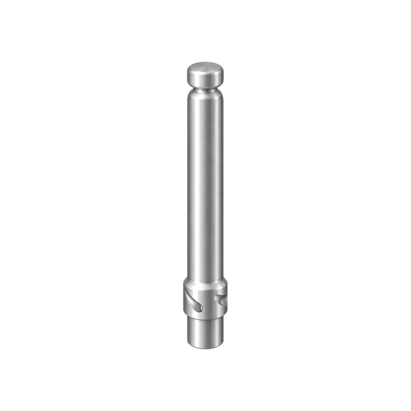 Piston rod 2001539 (illustration)