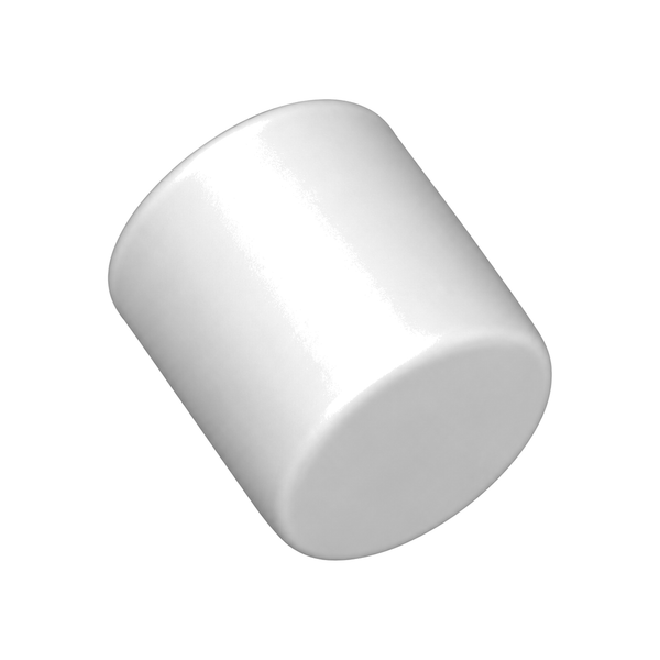 Cap, leg 276974 (illustration)
