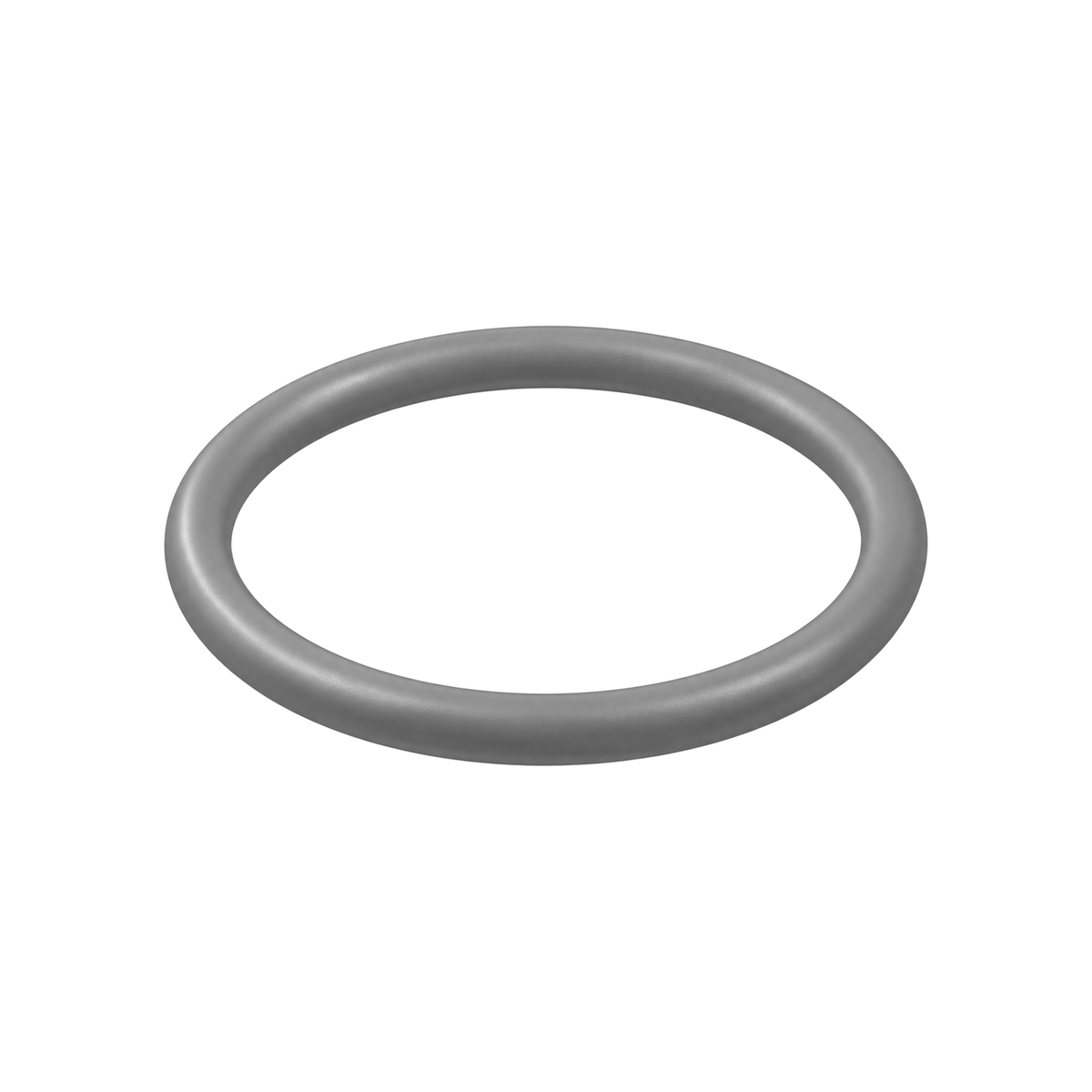 O-ring (* in pump repair kit) C20987 (illustration)