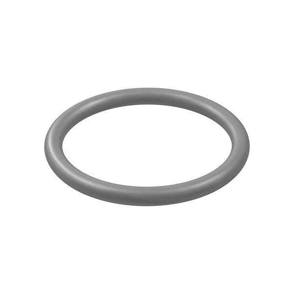 O-ring (* in pump repair kit) C20987 (illustration)